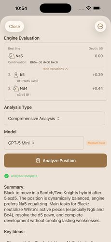 ChessView Screenshot 2